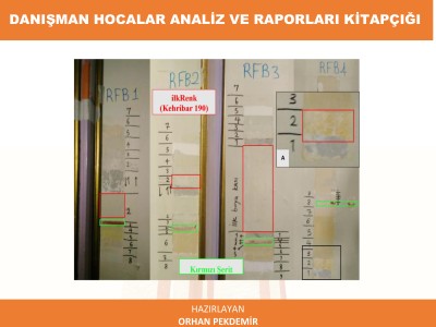 Opera Danışman Hocaların Raporu